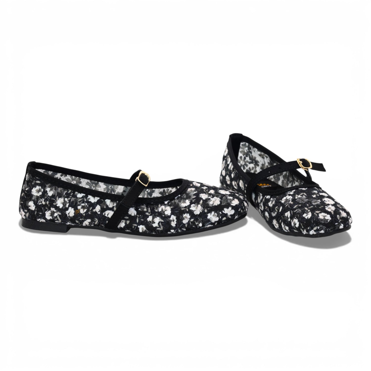 M011519 mesh pump