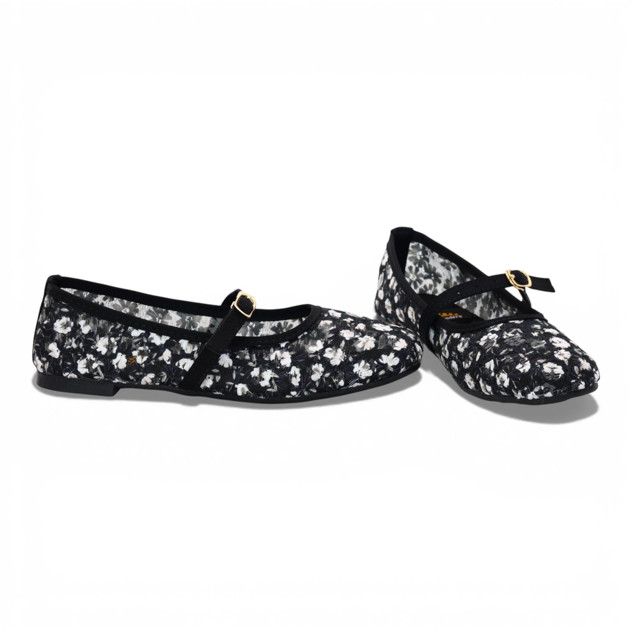 M011519 mesh pump
