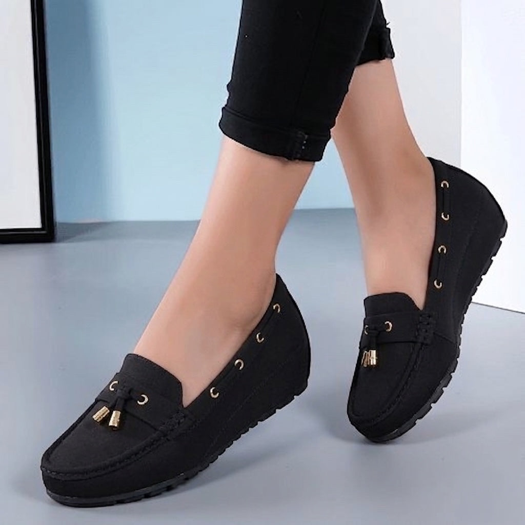 Lilly33 wedge pump